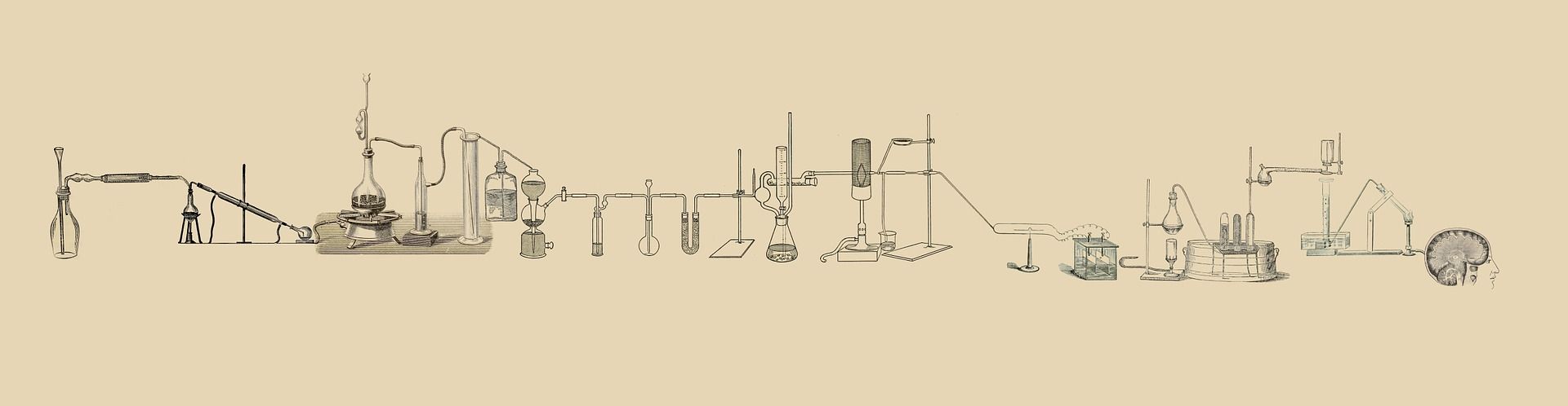 que es la creatividad. es un experimento
